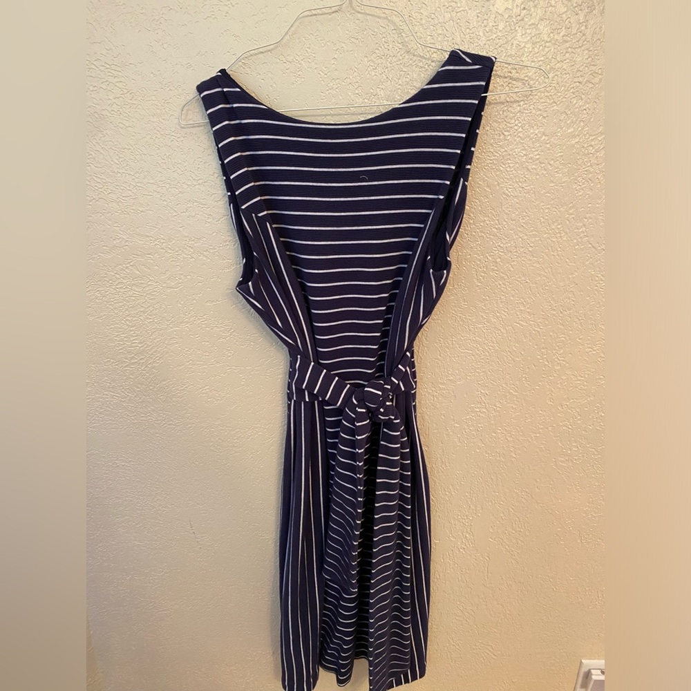A Pea in The Pod Navy Dress
